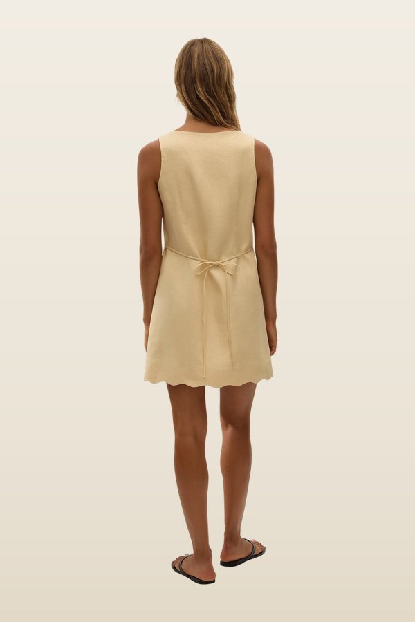 Alondra Mini Dress Daffodil — carry 4
