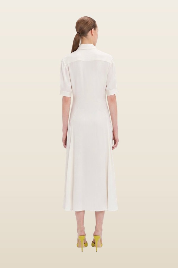 Panelled Midi Dress — model back