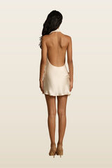 Rosa Dress — carry 4