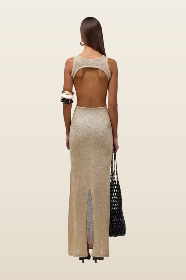 Tie Maxi Dress (Light Gold Sequin) — model back