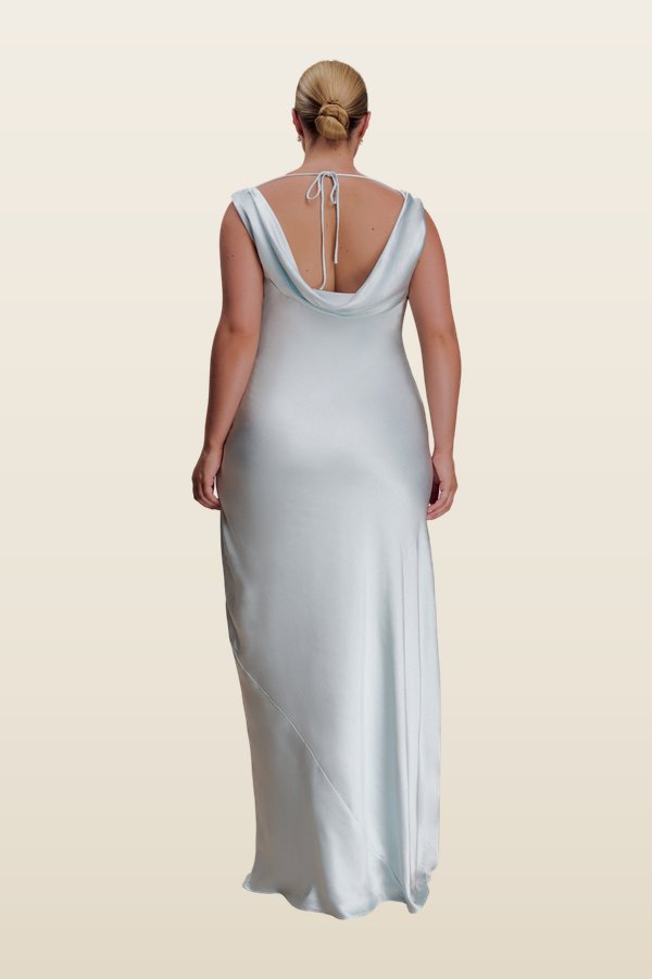 Ashley Cowl Neck Lace And Satin Maxi Dress - Ice — model back