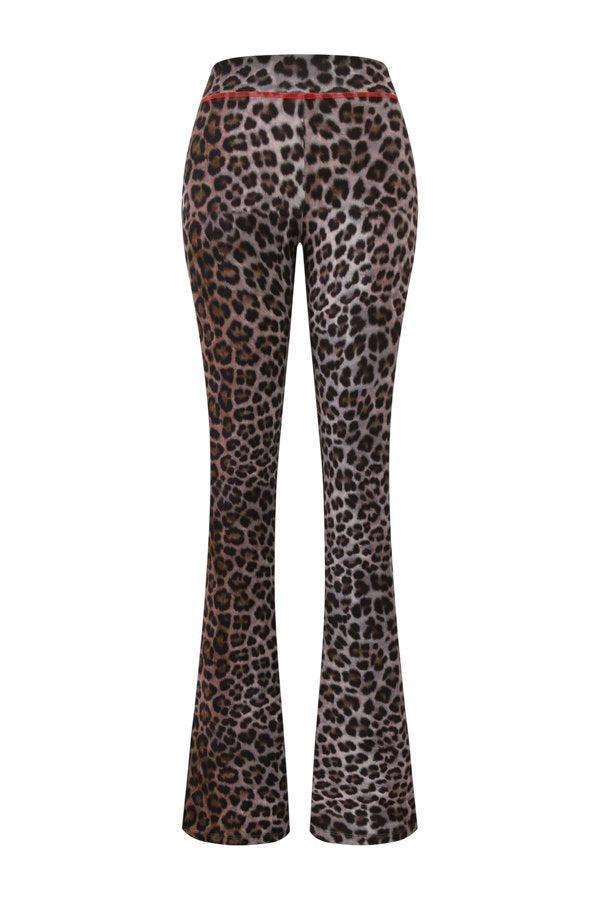 Blare Trackpant - Dark Leopard — packshot