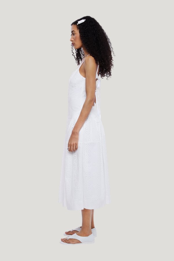 Cricket Dress — carry 3