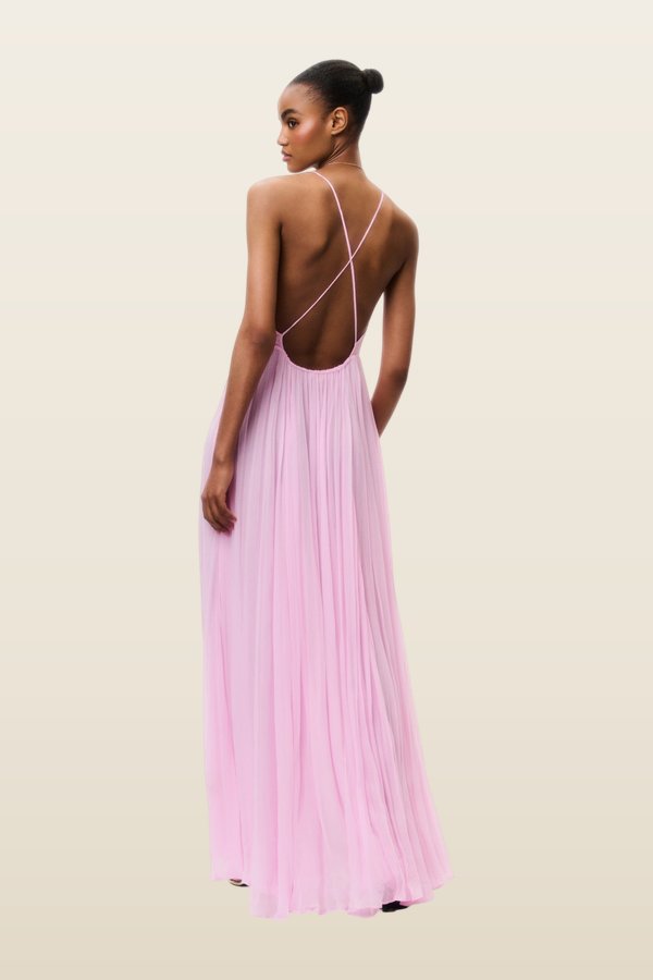 Dayna Chiffon Open Back Maxi Dress — model back
