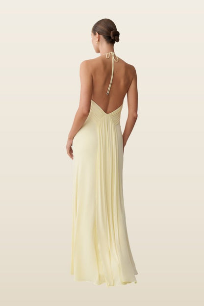 Maely Gathered Slinky Maxi Dress — model back