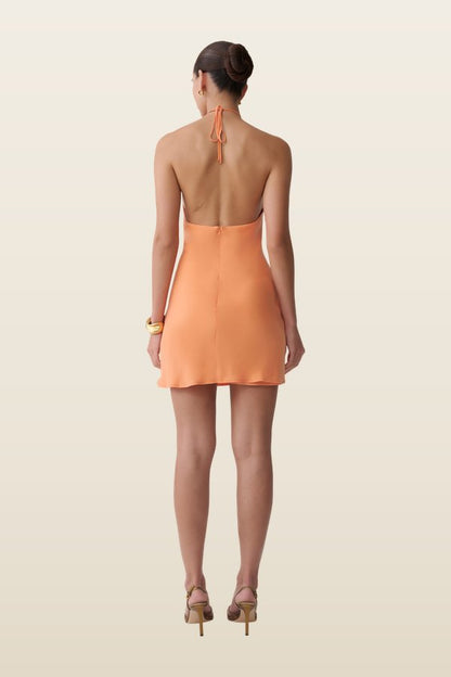 Maggie Cupro Halter Mini Dress — carry 4