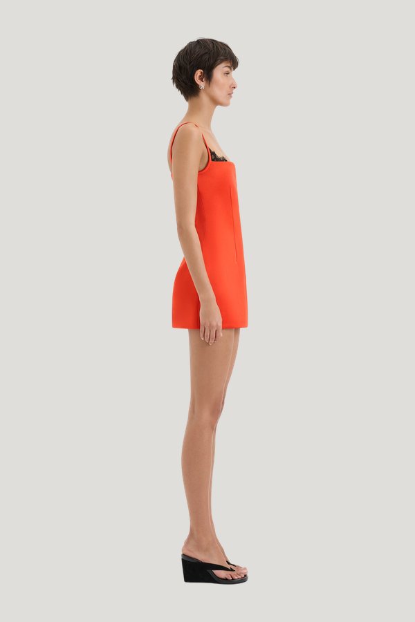 Poppy Contoured Mini Dress — carry 3
