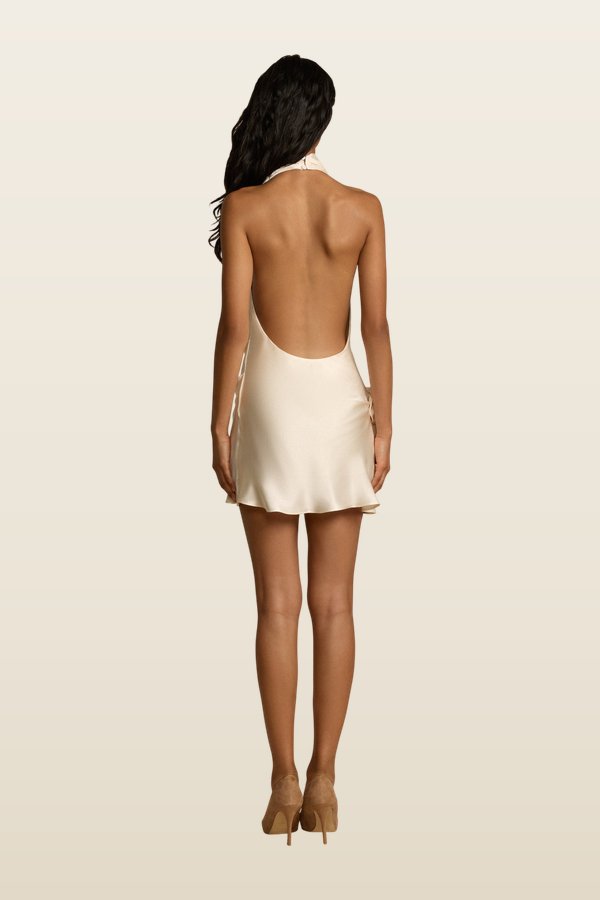 Rosa Dress — carry 4