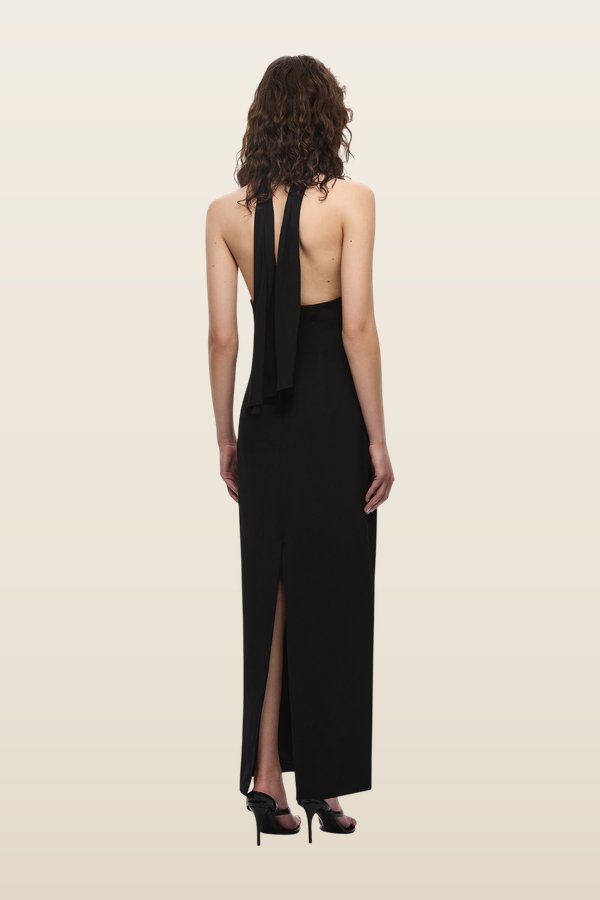 The Capezza Silk Dress — model back