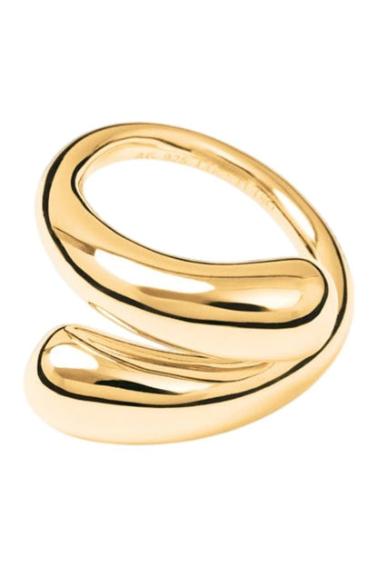 The Victoria Ring — packshot