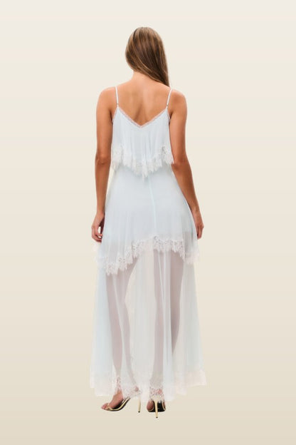 Toby Silk Chiffon Maxi Dress — model back