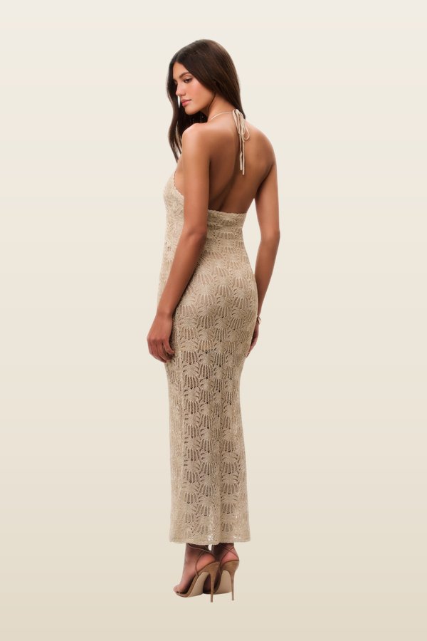 Vreya Metallic Crochet Maxi Dress — model back