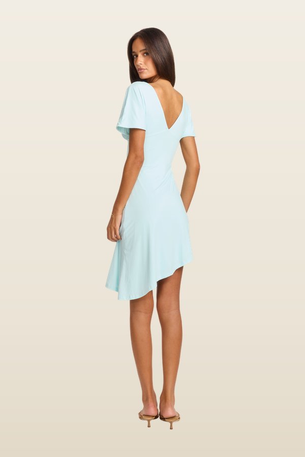 Winnie Mini Dress — carry 4