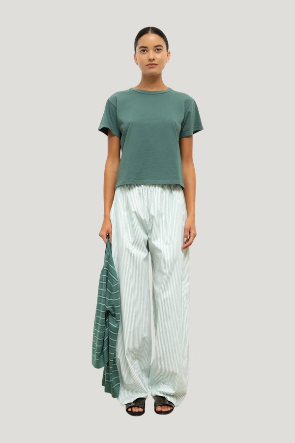 Yoshi Stripe Wide Leg Pant — model front